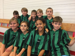 Turnaje v  minivolejbalu