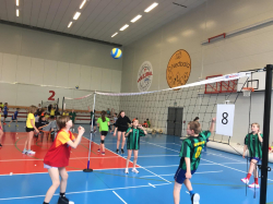 Minivolejbal