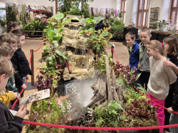 Masožravé rostliny