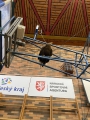 IMG_8719.JPEG