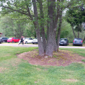 IMG-20240521-WA0006.jpg