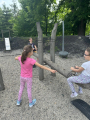 IMG-20240530-WA0006.jpg