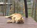 IMG-20240604-WA0016.jpg