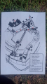 IMG-20240618-WA0006.jpg