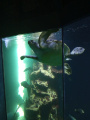 IMG-20240618-WA0024.jpg