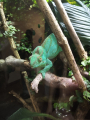 IMG-20240618-WA0016.jpg