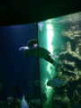IMG-20240618-WA0023.jpg