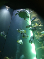 IMG-20240618-WA0026.jpg