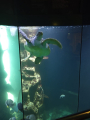 IMG-20240618-WA0019.jpg