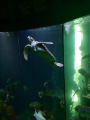 IMG-20240618-WA0022.jpg