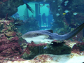 IMG-20240618-WA0018.jpg