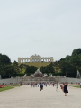 IMG-20240618-WA0044.jpg