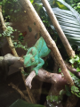 IMG-20240618-WA0014.jpg