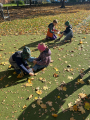 IMG-20241016-WA0007.jpg