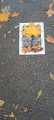 image20.jpeg