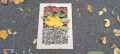 image22.jpeg