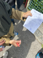 IMG-20250519-WA0001.jpg