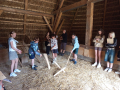IMG-20250626-WA0016.jpg