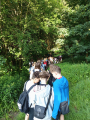 IMG-20250626-WA0017.jpg
