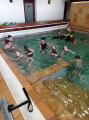IMG-20250626-WA0032.jpg