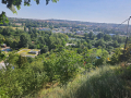 IMG-20250627-WA0023.jpg