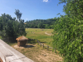 IMG-20250627-WA0025.jpg