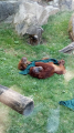 IMG-20250627-WA0022.jpg