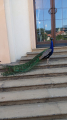 IMG-20250627-WA0037.jpg