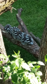 IMG-20250627-WA0021.jpg
