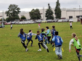 IMG-20251008-WA0020.jpg