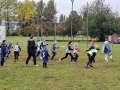 IMG-20251008-WA0014.jpg