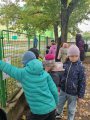 IMG-20251009-WA0005.jpg