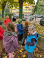IMG-20251009-WA0002.jpg